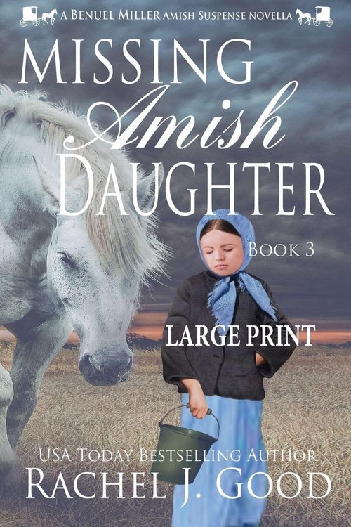 Produktbild: Missing Amish Daughter