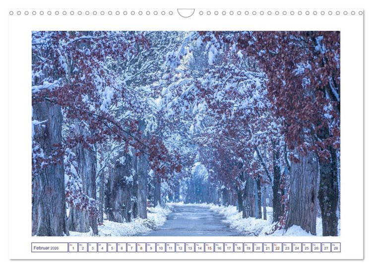 Produktbild: Radolfzell am sch&ouml;nen Bodensee (Wandkalender 2026 DIN A3 quer), CALVENDO Monatskalender