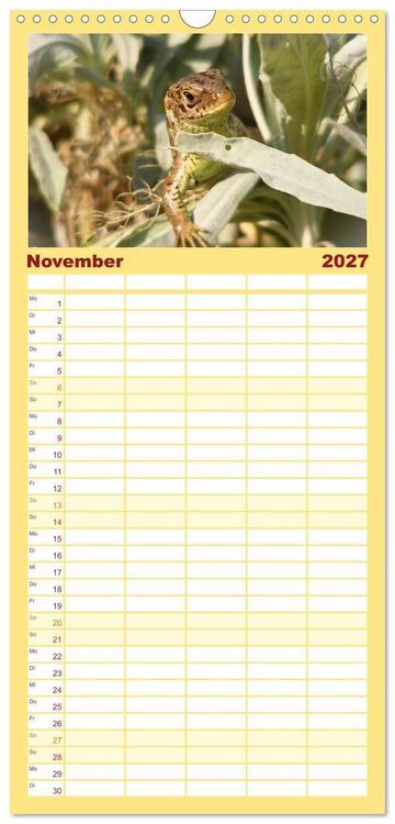 Produktbild: Familienplaner 2027 - Minisaurier im Garten mit 5 Spalten (Wandkalender, 21 x 45 cm) CALVENDO