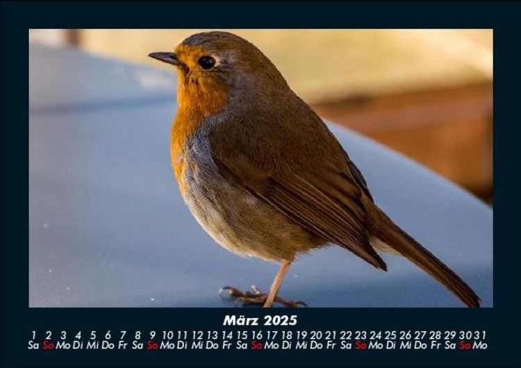 Produktbild: Der Tierkalender 2025 Fotokalender DIN A5