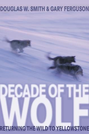 Produktbild: Decade of the Wolf