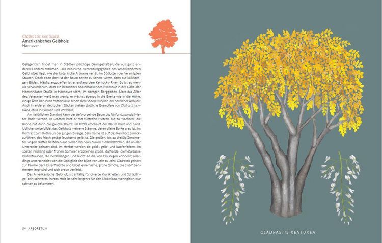 Produktbild: Arboretum. 70 B&auml;ume - 70 St&auml;dte