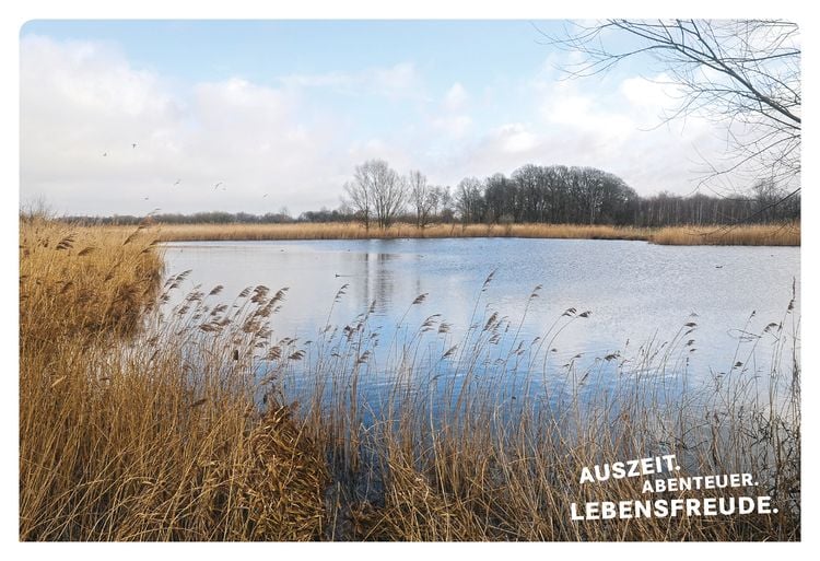 Produktbild: 52 kleine & große Eskapaden im Münsterland
