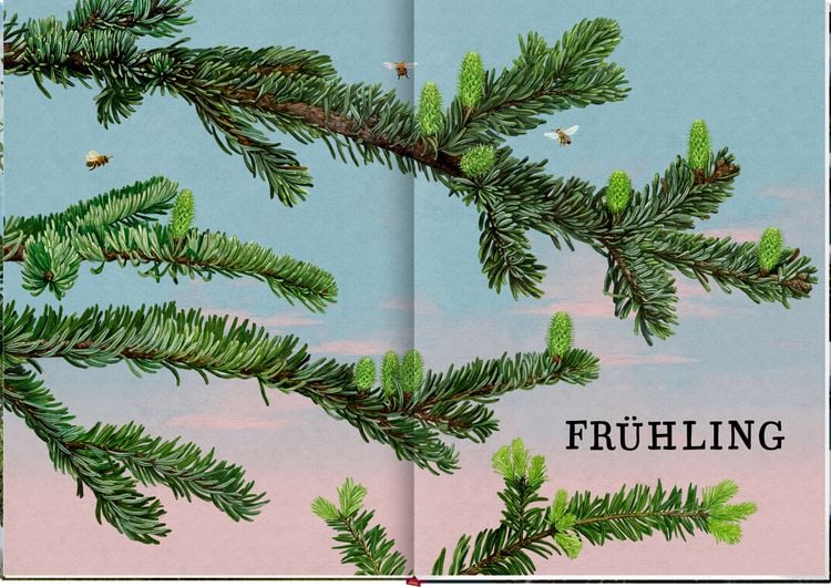 Produktbild: Das gro&szlig;e Buch vom Tannenbaum