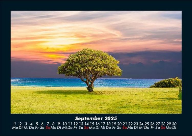 Produktbild: B&auml;ume 2025 Fotokalender DIN A5