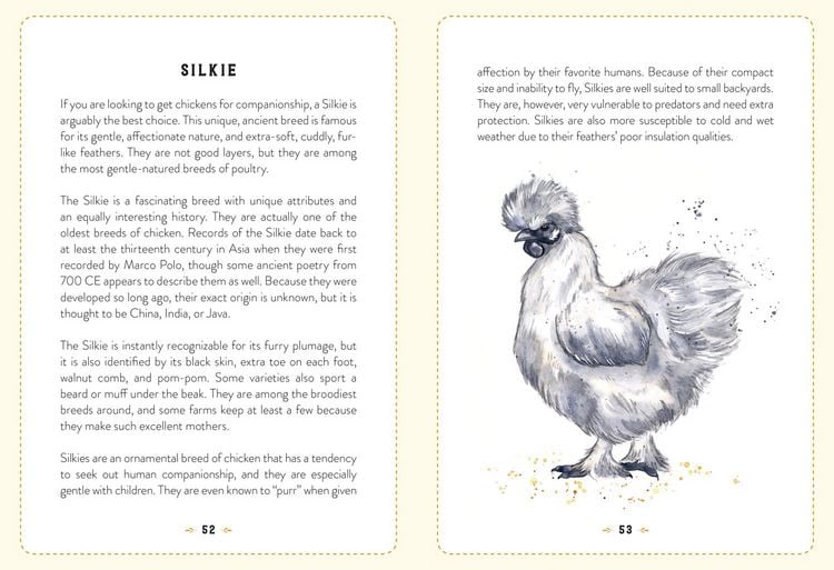 Produktbild: The Little Book of Chickens