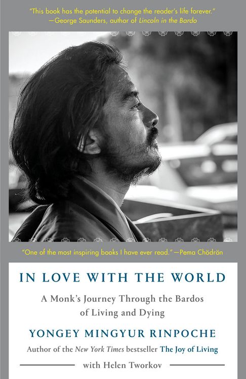 Produktbild: In Love with the World