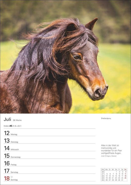 Produktbild: Pferde Wochenplaner 2027 - 53 faszinierende Fotografien