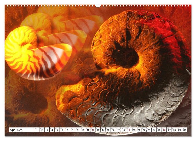 Produktbild: Versteinerte Welt (hochwertiger Premium Wandkalender 2026 DIN A2 quer), Kunstdruck in Hochglanz