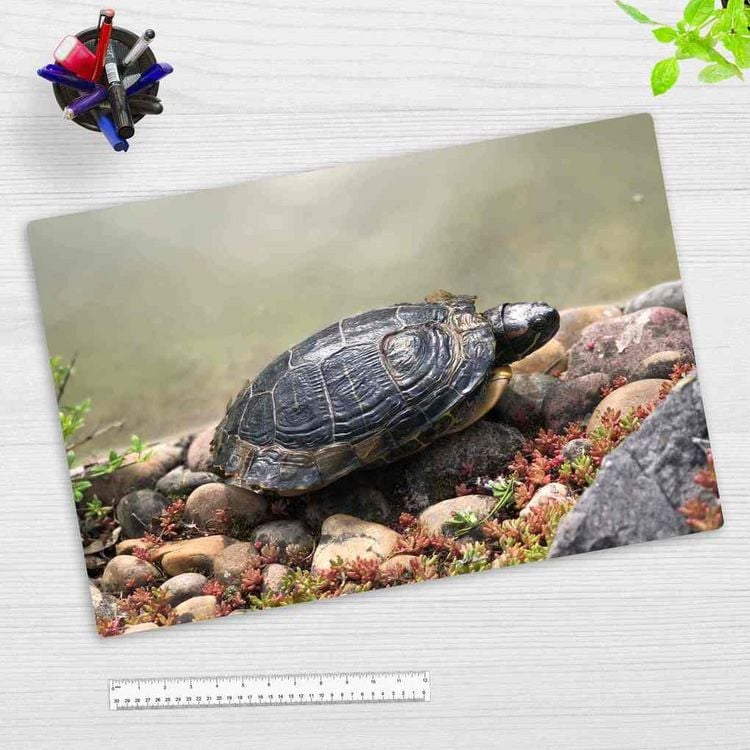 Produktbild: Cover-your-desk Schreibtischunterlage f&uuml;r Kinder und Erwachsene Schildkr&ouml;te am Wasser, aus hochwertigem Vinyl, 60 x 40 cm