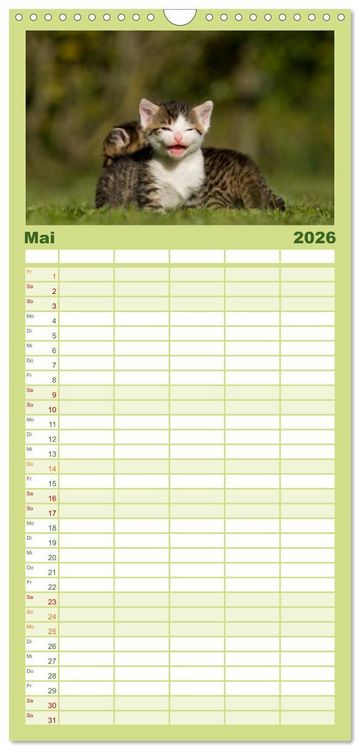 Produktbild: Familienplaner 2026 - L&auml;chelnd durchs Jahr - Katzenkinder -Familienplaner hoch mit 5 Spalten (Wandkalender, 21 x 45 cm) CALVENDO