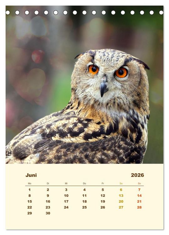 Produktbild: Uhu, die Faszination bernsteinfarbener Augen (Tischkalender 2026 DIN A5 hoch), CALVENDO Monatskalender