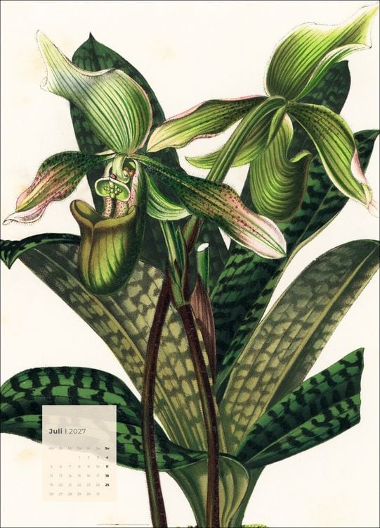 Produktbild: Botanicals Kalender 2027