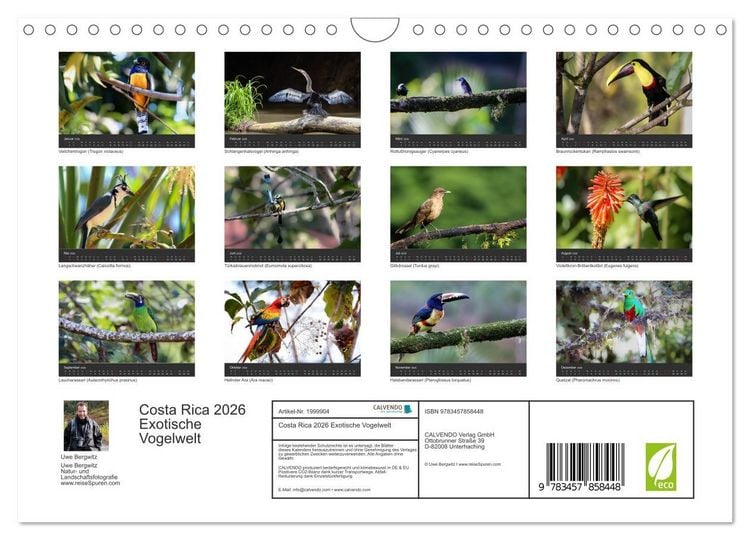 Produktbild: Costa Rica 2026 Exotische Vogelwelt (Wandkalender 2026 DIN A4 quer), CALVENDO Monatskalender