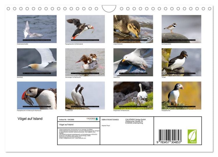 Produktbild: V&ouml;gel auf Island (Wandkalender 2026 DIN A4 quer), CALVENDO Monatskalender