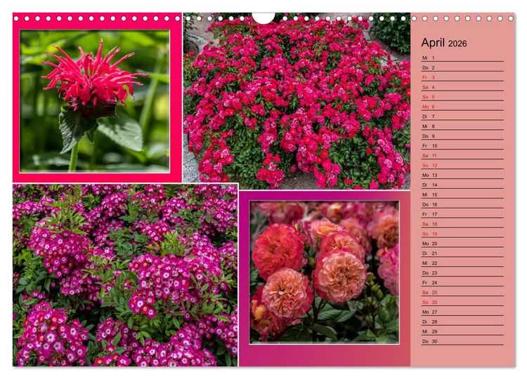Produktbild: Gartenschau in Erfurt (Wandkalender 2026 DIN A3 quer), CALVENDO Monatskalender