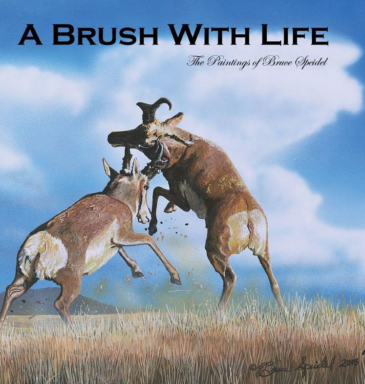 Produktbild: A Brush With Life