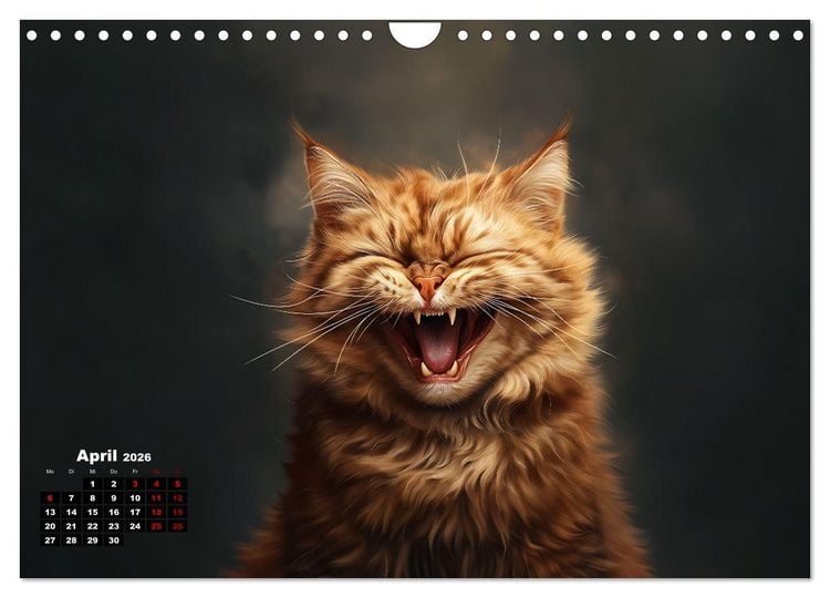 Produktbild: Auch Katzen lachen gern (Wandkalender 2026 DIN A4 quer), CALVENDO Monatskalender