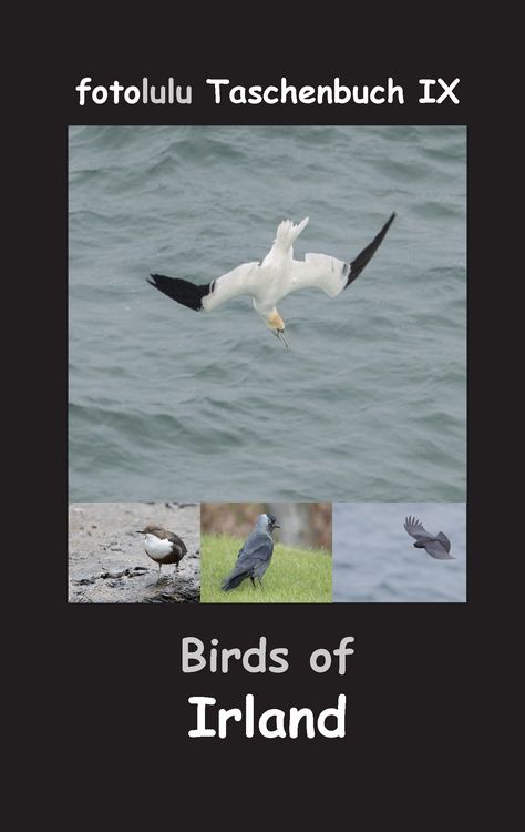 Produktbild: Birds of Irland