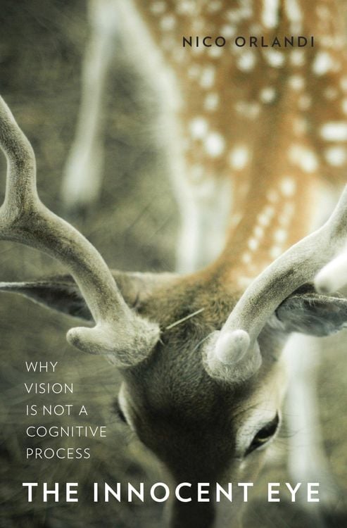 Produktbild: The Innocent Eye