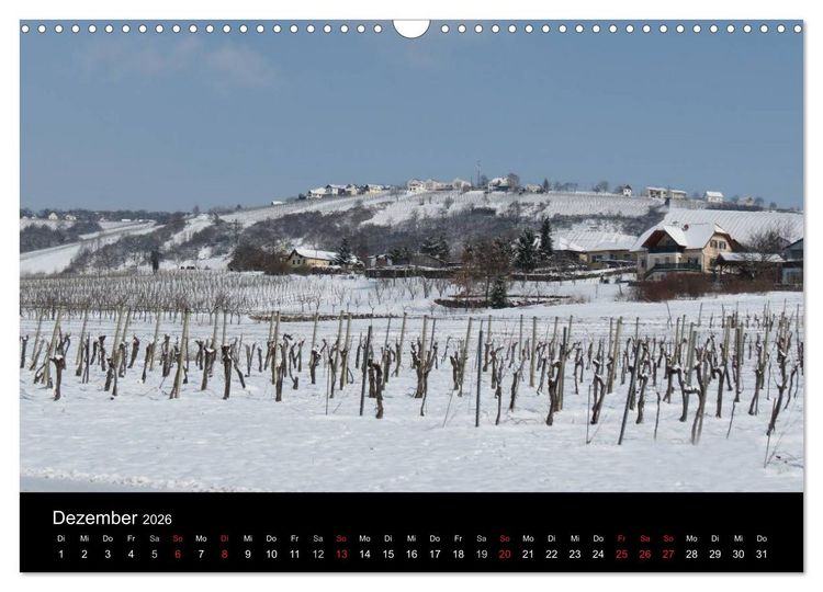 Produktbild: Weinidylle im S&uuml;dburgenland (Wandkalender 2026 DIN A3 quer), CALVENDO Monatskalender