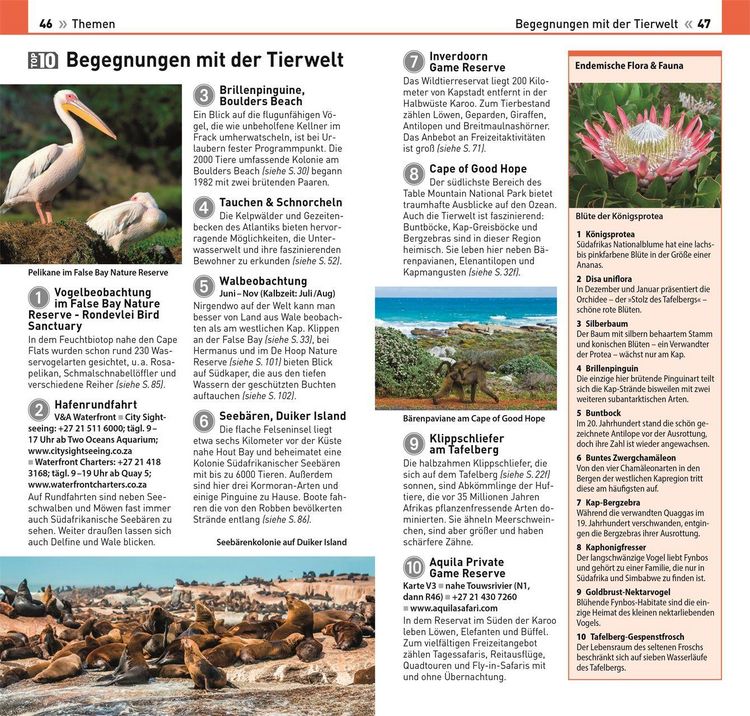 Produktbild: TOP10 Reisef&uuml;hrer Kapstadt