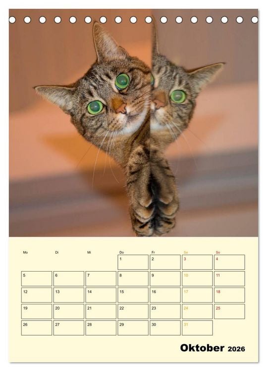 Produktbild: K&auml;tzchen - Theater (Tischkalender 2026 DIN A5 hoch), CALVENDO Monatskalender