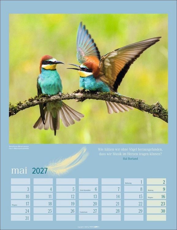 Produktbild: Heimische V&ouml;gel Kalender 2027