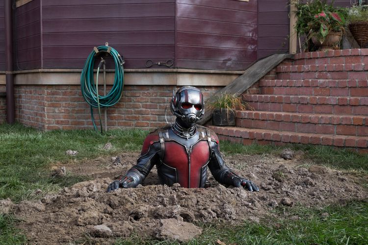 Produktbild: Ant-Man