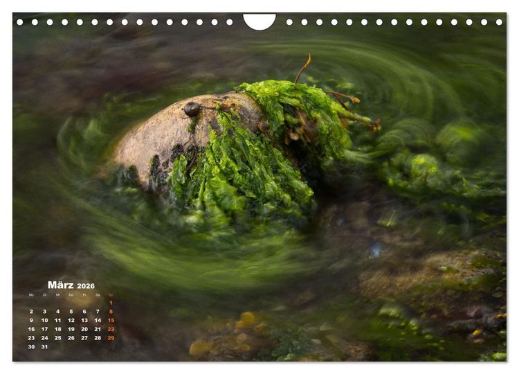 Produktbild: ... wie kleine Wellen tanzen ... (Wandkalender 2026 DIN A4 quer), CALVENDO Monatskalender