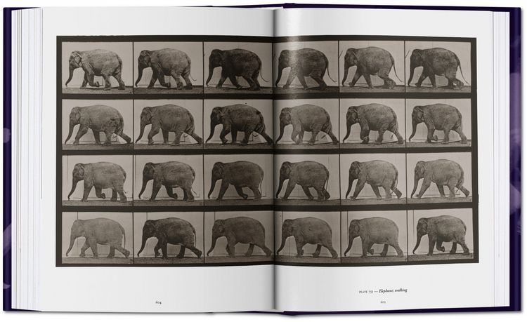 Produktbild: Muybridge. The Human and Animal Locomotion Photographs