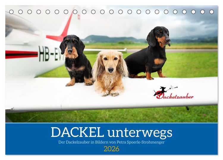 Produktbild: Dackel unterwegs (Tischkalender 2026 DIN A5 quer), CALVENDO Monatskalender