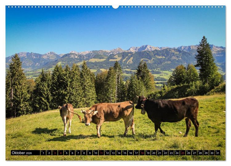 Produktbild: Faszination Allg&auml;u (Wandkalender 2026 DIN A2 quer), CALVENDO Monatskalender