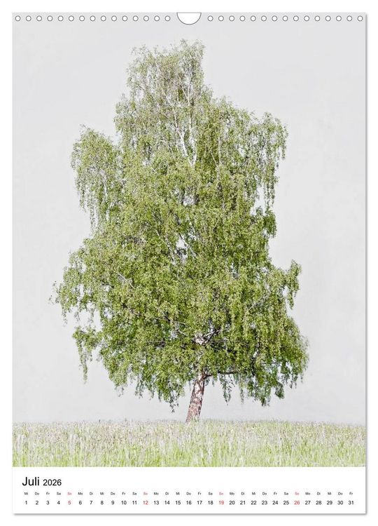 Produktbild: B&auml;ume (Wandkalender 2026 DIN A3 hoch), CALVENDO Monatskalender