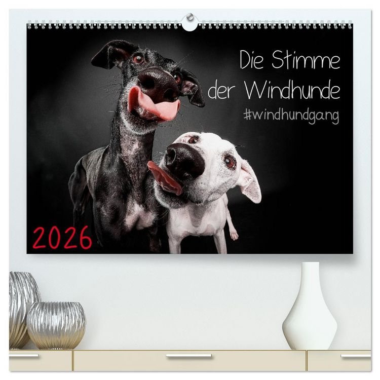 Produktbild: Die Stimme der Windhunde (hochwertiger Premium Wandkalender 2026 DIN A2 quer), Kunstdruck in Hochglanz