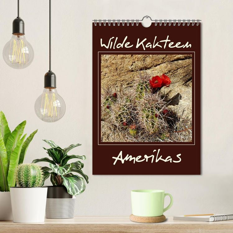 Produktbild: Wilde Kakteen Amerikas (Wandkalender 2026 DIN A4 hoch), CALVENDO Monatskalender