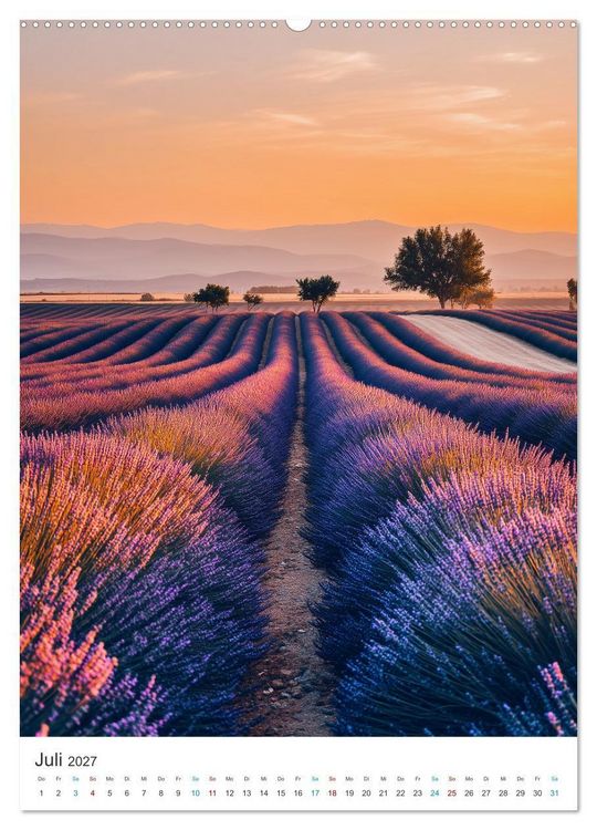Produktbild: Der Sommer bl&uuml;ht violett (hochwertiger Premium Wandkalender 2027 DIN A2 hoch), Kunstdruck in Hochglanz