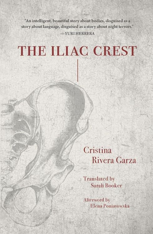 Produktbild: The Iliac Crest