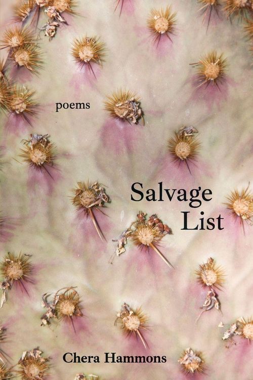 Produktbild: Salvage List