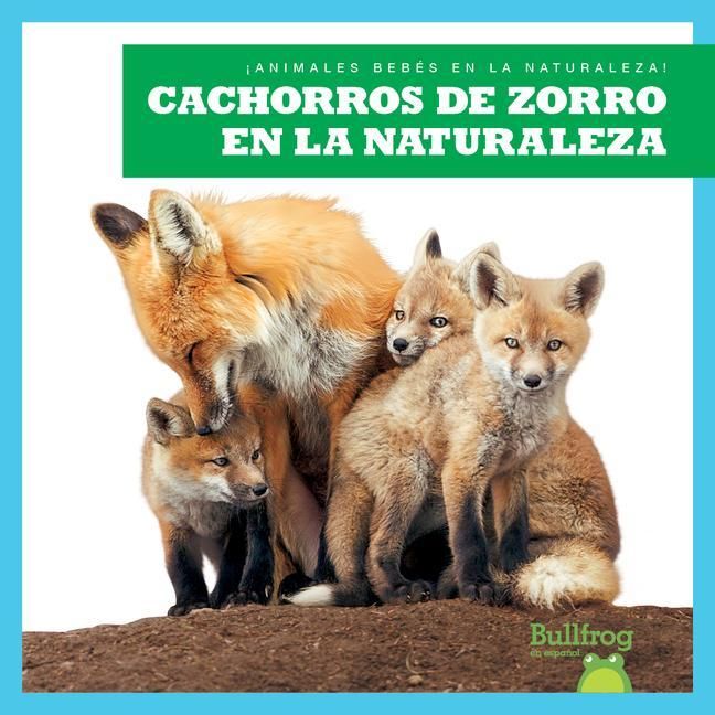 Produktbild: Cachorros de Zorro En La Naturaleza (Fox Kits in the Wild)