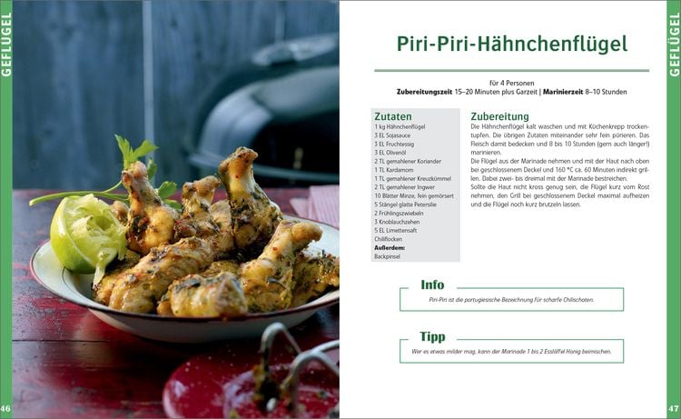 Gasgrill: Die Besten Rezepte Für Fleisch, Fisch, Gemüse, Desserts