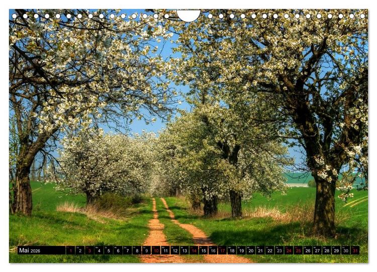 Produktbild: Harz Landschaften (Wandkalender 2026 DIN A4 quer), CALVENDO Monatskalender