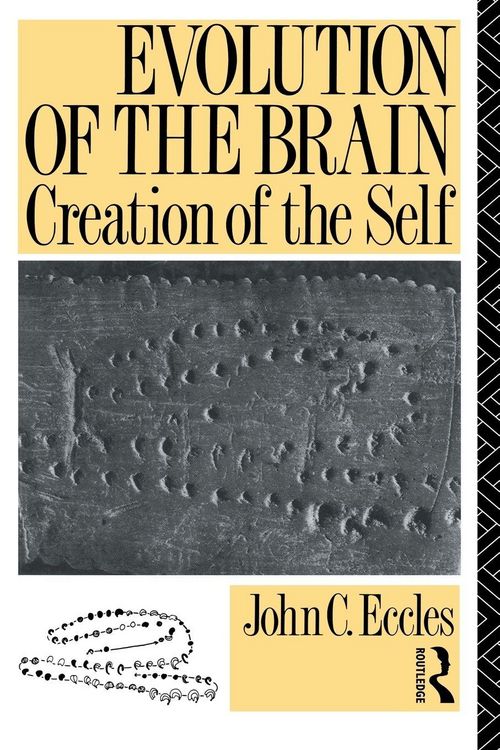 Produktbild: Evolution of the Brain