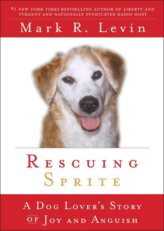 Produktbild: Rescuing Sprite