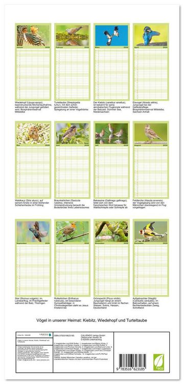 Produktbild: Familienplaner 2026 - V&ouml;gel in unserer Heimat: Kiebitz, Wiedehopf und Turteltaube mit 5 Spalten (Wandkalender, 21 x 45 cm) CALVENDO