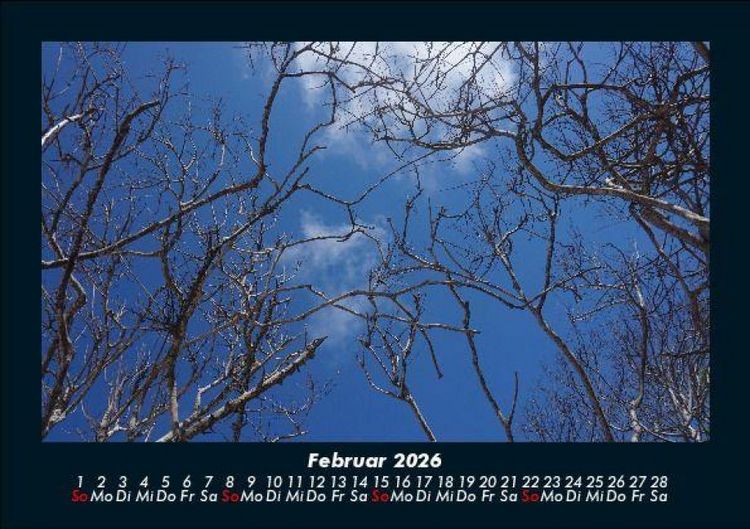 Produktbild: Bilder der Natur 2026 Fotokalender DIN A5