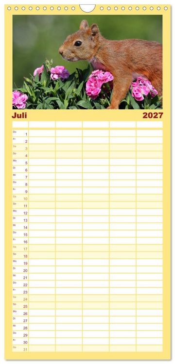 Produktbild: Familienplaner 2027 - Eichh&ouml;rnchen in zauberhaften Posen mit 5 Spalten (Wandkalender, 21 x 45 cm) CALVENDO