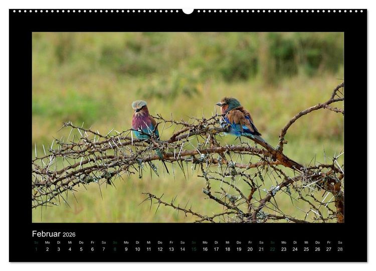 Produktbild: Wilde Tiere Afrikas (Wandkalender 2026 DIN A2 quer), CALVENDO Monatskalender