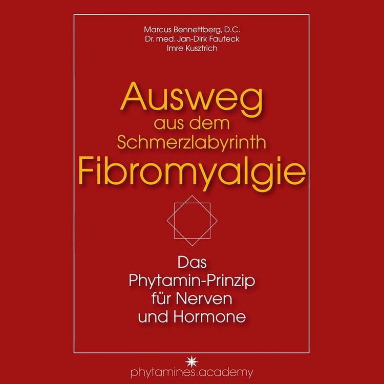 Produktbild: Ausweg aus dem Schmerzlabyrinth Fibromyalgie
