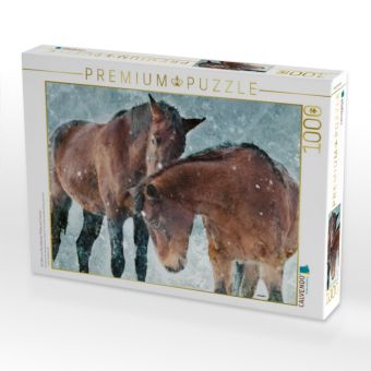 Produktbild: CALVENDO Puzzle Ein Motiv aus dem Kalender Pferde zum Tr&auml;umen | 1000 Teile Lege-Gr&ouml;&szlig;e 64x48cm Foto-Puzzle f&uuml;r gl&uuml;ckliche Stunden